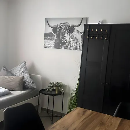Kingsize Apartment