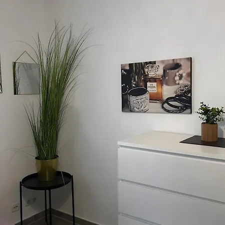 Kingsize Apartment Duisburg